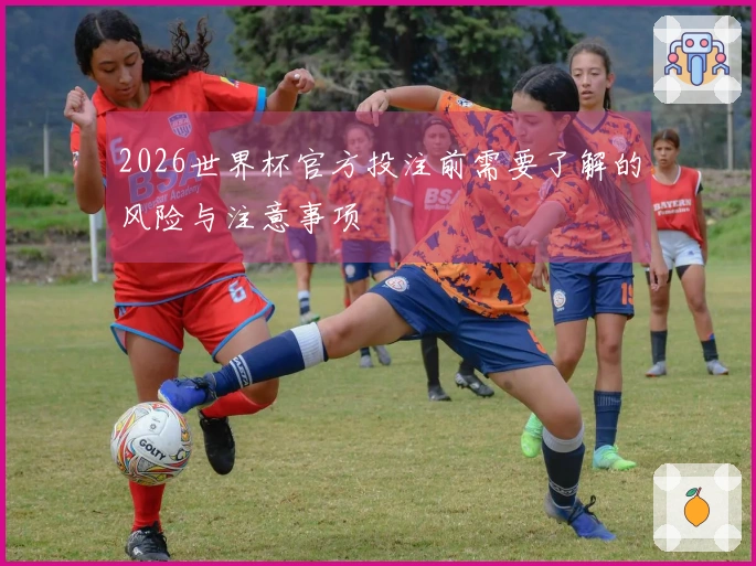 2026世界杯官方投注前需要了解的风险与注意事项