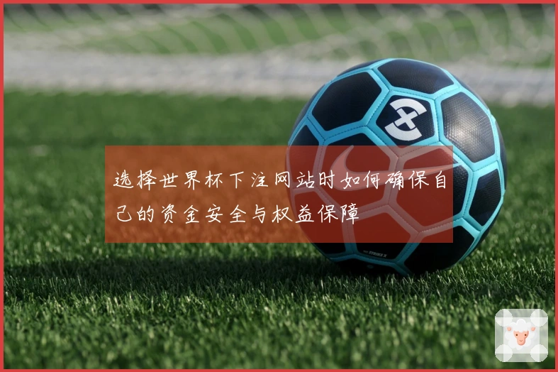 选择世界杯下注网站时如何确保自己的资金安全与权益保障