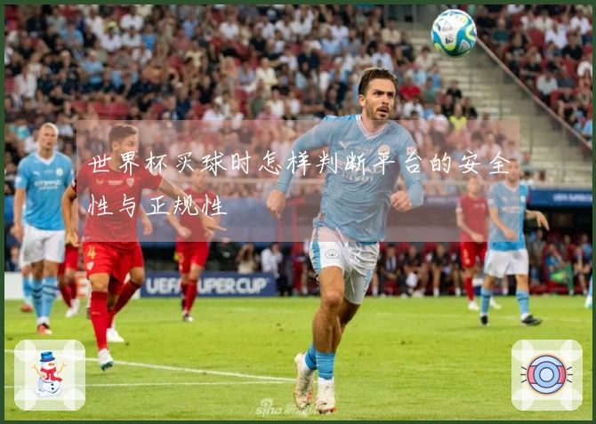 世界杯买球时怎样判断平台的安全性与正规性