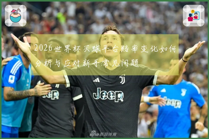 2026世界杯买球平台赔率变化如何分析与应对新手常见问题